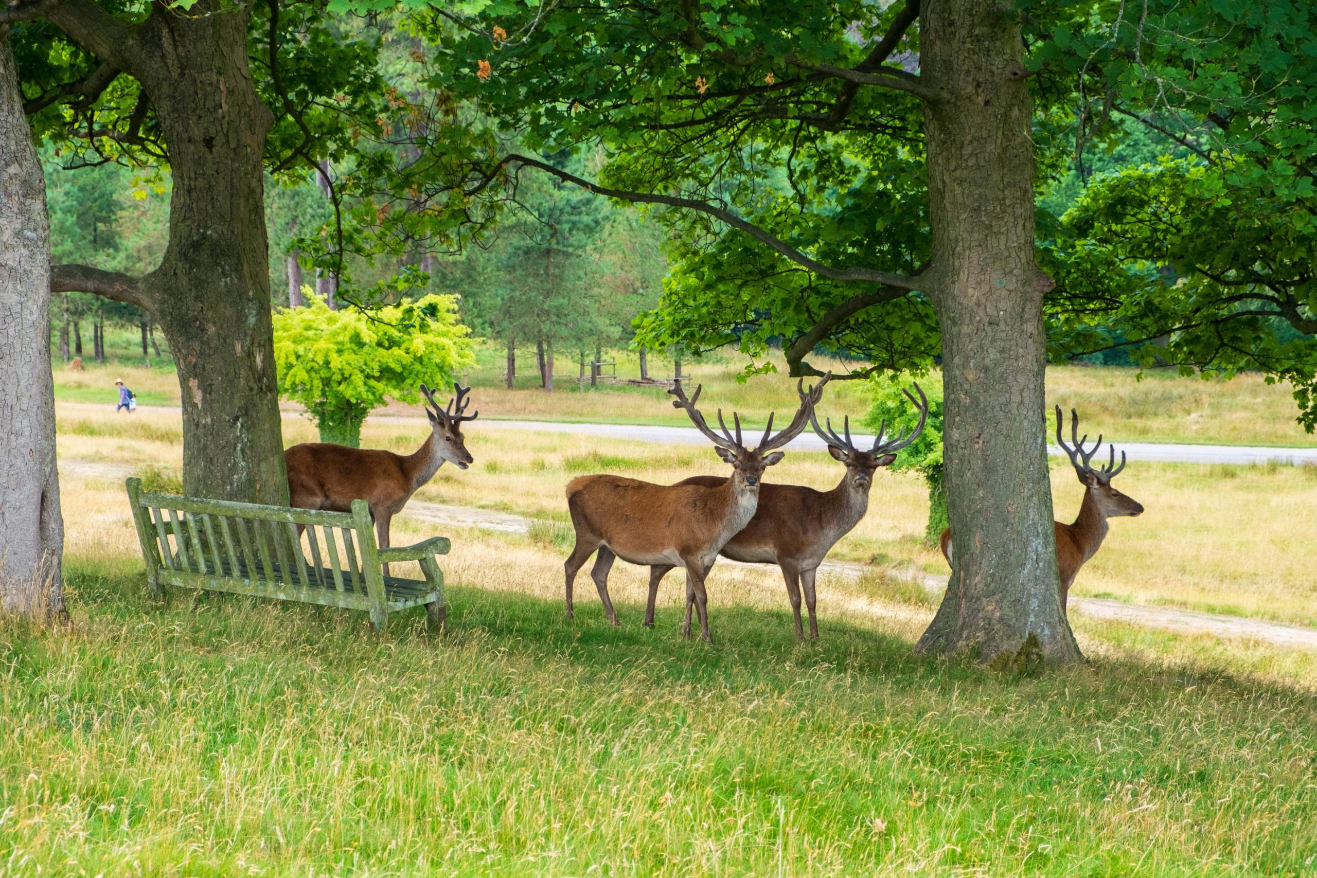 Visit Lyme Park with Allied Taxis